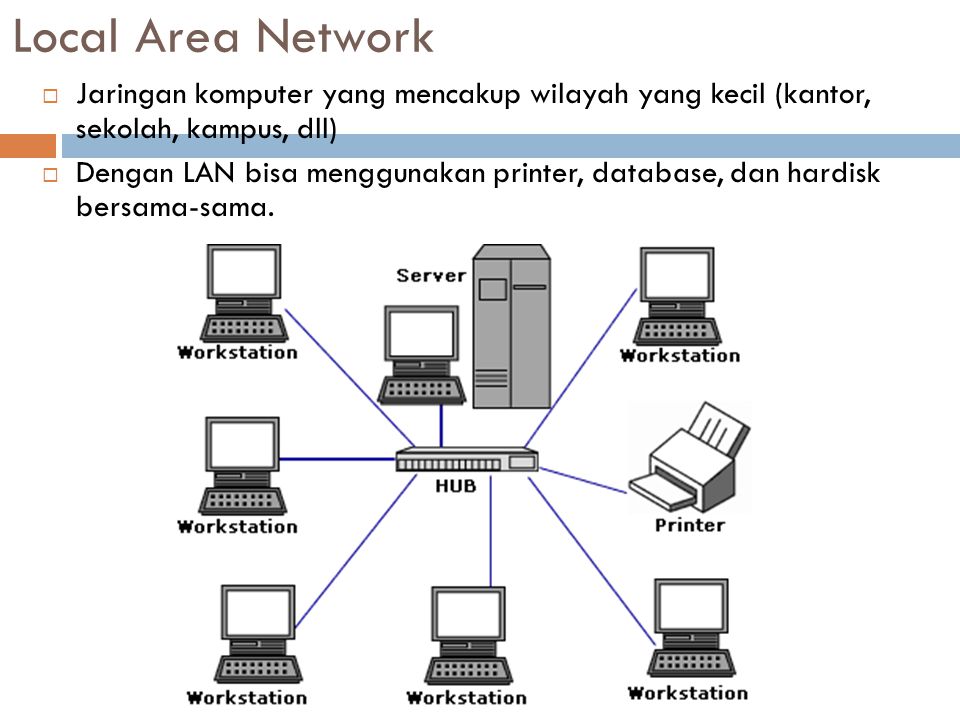 Local Area Network Jaringan komputer yang mencakup wilayah yang kecil (kantor, sekolah, kampus, dll)