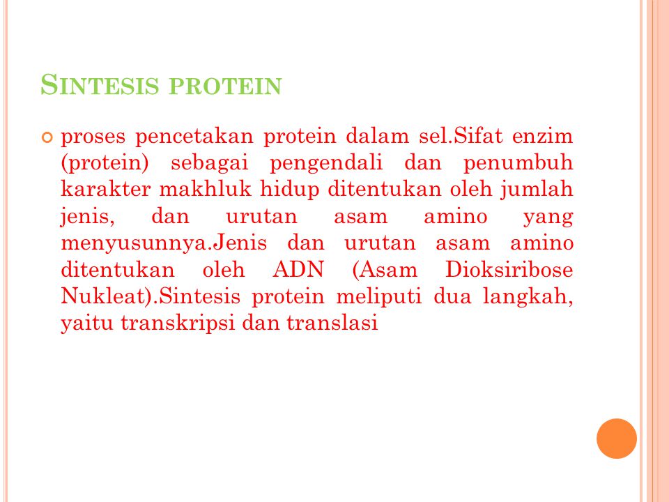 Sintesis protein
