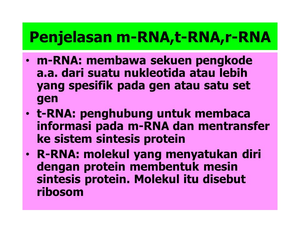 Penjelasan m-RNA,t-RNA,r-RNA