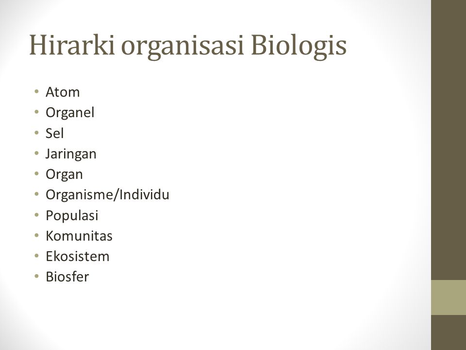 Hirarki organisasi Biologis