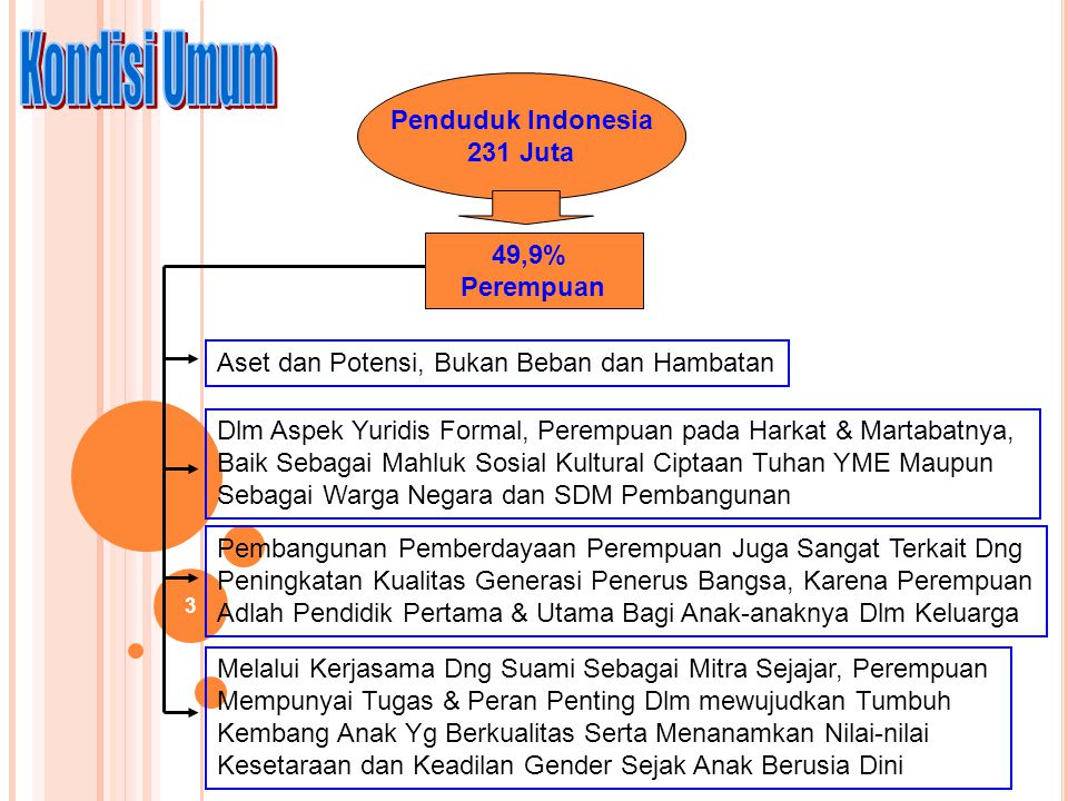 Kondisi Umum Penduduk Indonesia 231 Juta 49,9% Perempuan