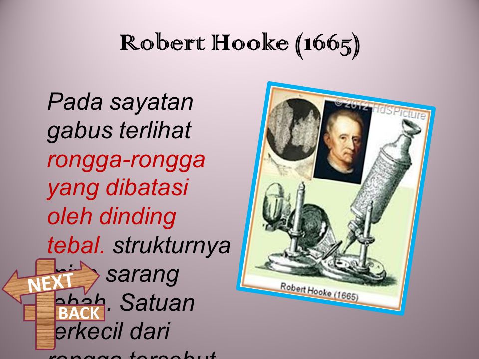 Robert Hooke (1665)