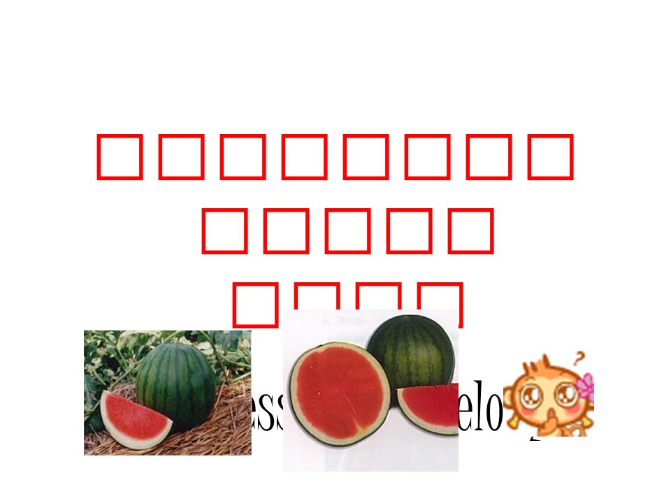 (Seedless Watermelon)