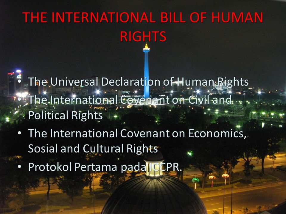 THE INTERNATIONAL BILL OF HUMAN RIGHTS