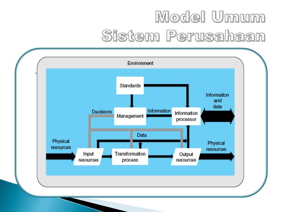 Model Umum Sistem Perusahaan