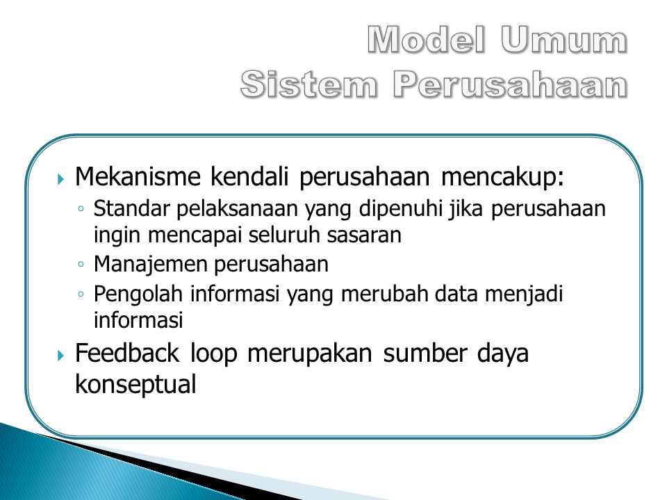 Model Umum Sistem Perusahaan