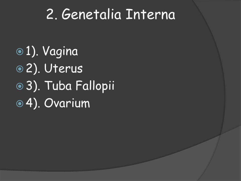 2. Genetalia Interna 1). Vagina 2). Uterus 3). Tuba Fallopii