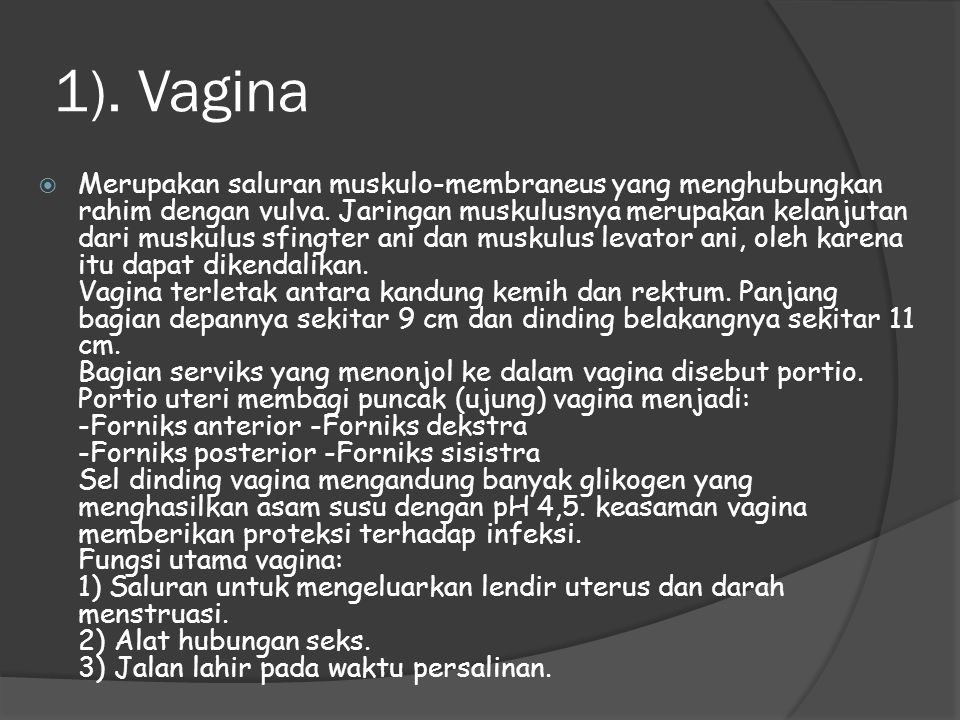 1). Vagina