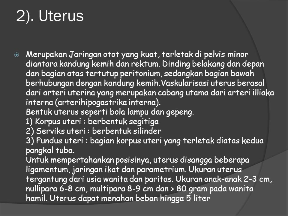 2). Uterus
