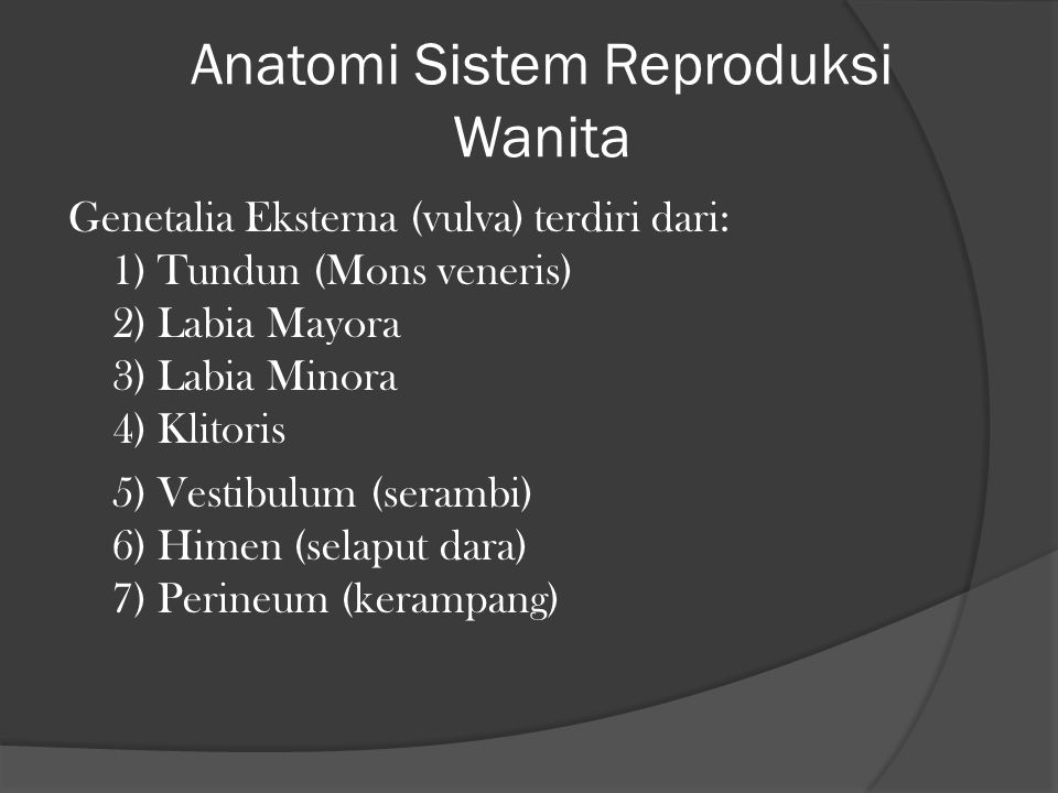 Anatomi Sistem Reproduksi Wanita