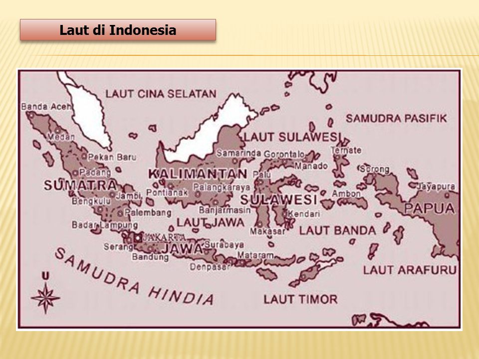 Laut di Indonesia