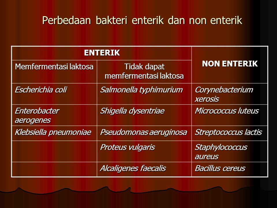 Perbedaan bakteri enterik dan non enterik