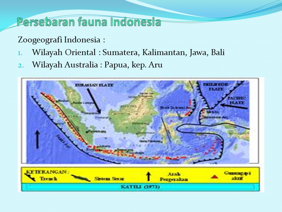 Persebaran fauna Indonesia