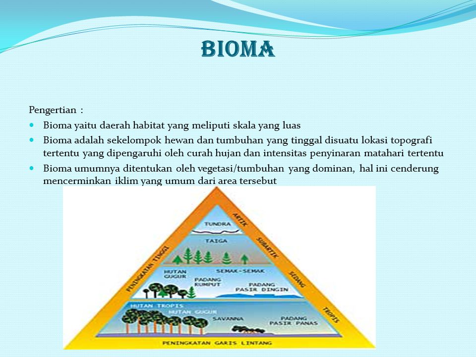 BIOMA Pengertian : Bioma yaitu daerah habitat yang meliputi skala yang luas.