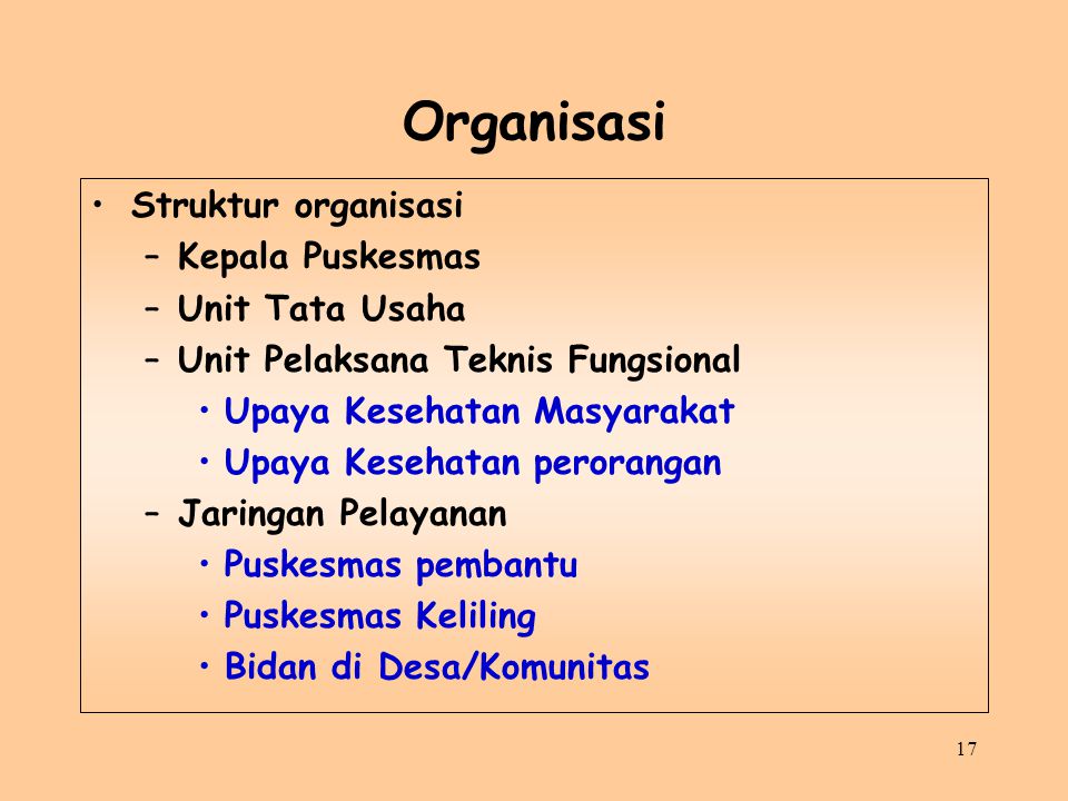 Organisasi Struktur organisasi Kepala Puskesmas Unit Tata Usaha