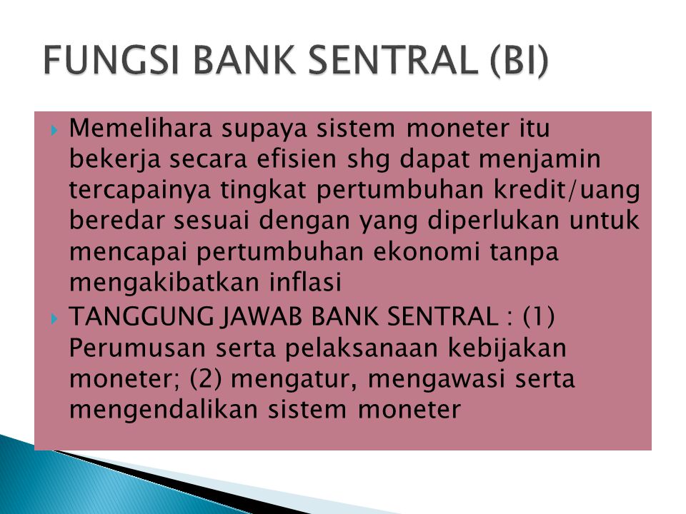 FUNGSI BANK SENTRAL (BI)