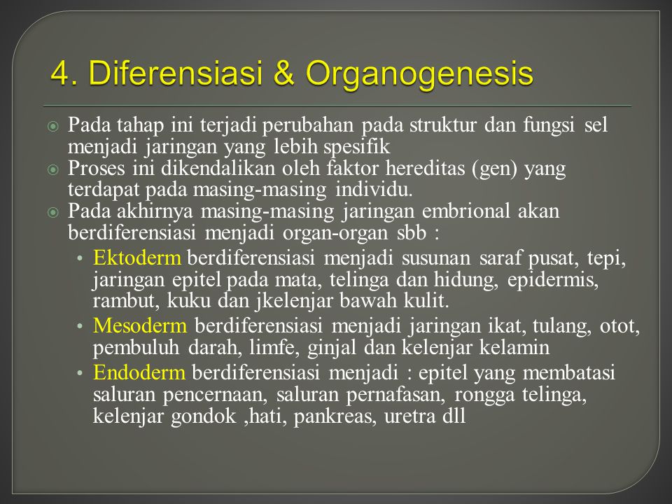 4. Diferensiasi & Organogenesis