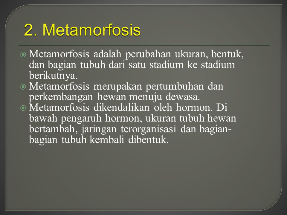 2. Metamorfosis Metamorfosis adalah perubahan ukuran, bentuk, dan bagian tubuh dari satu stadium ke stadium berikutnya.