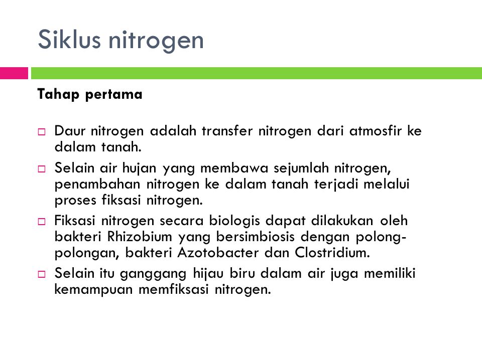 Siklus nitrogen Tahap pertama