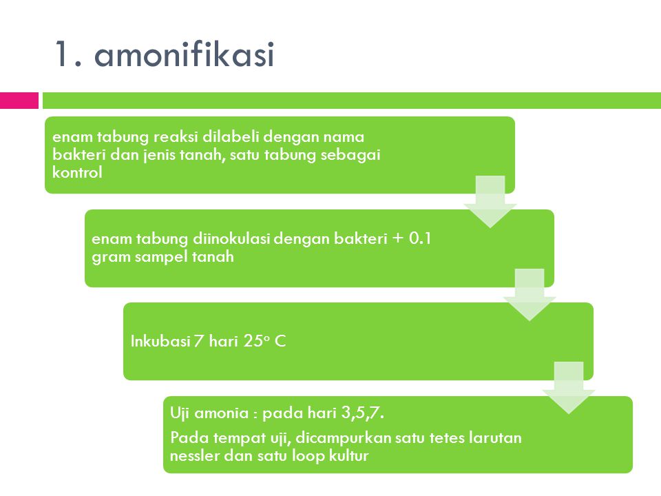 1. amonifikasi Uji amonia : pada hari 3,5,7.