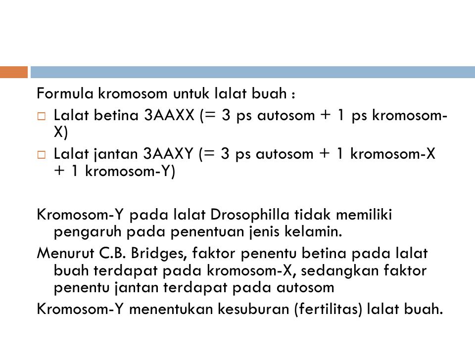 Formula kromosom untuk lalat buah :