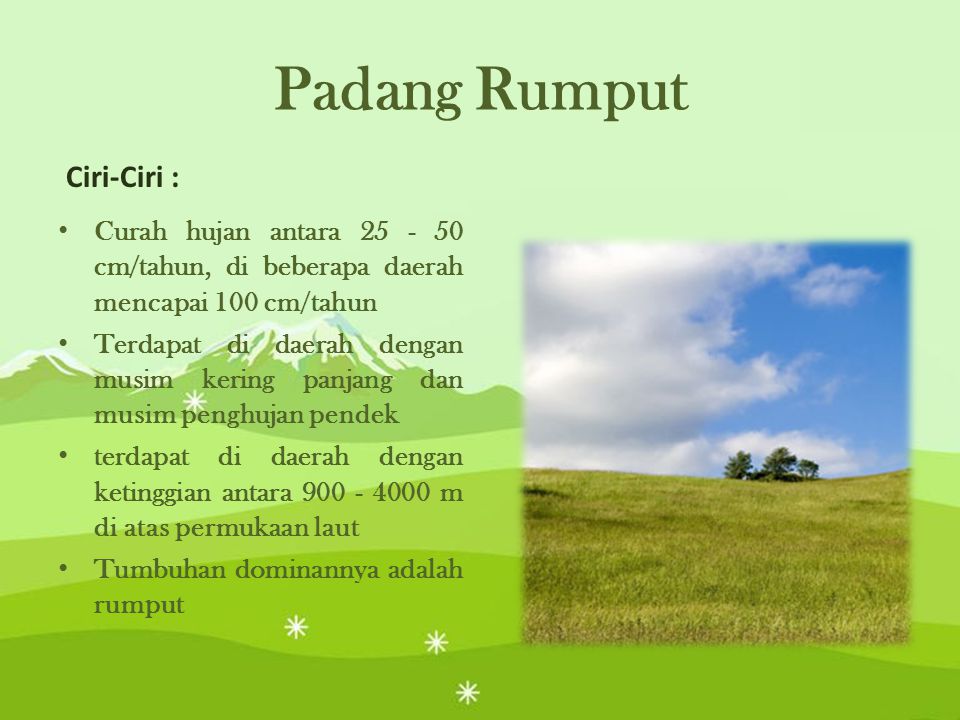 Padang Rumput Ciri-Ciri :