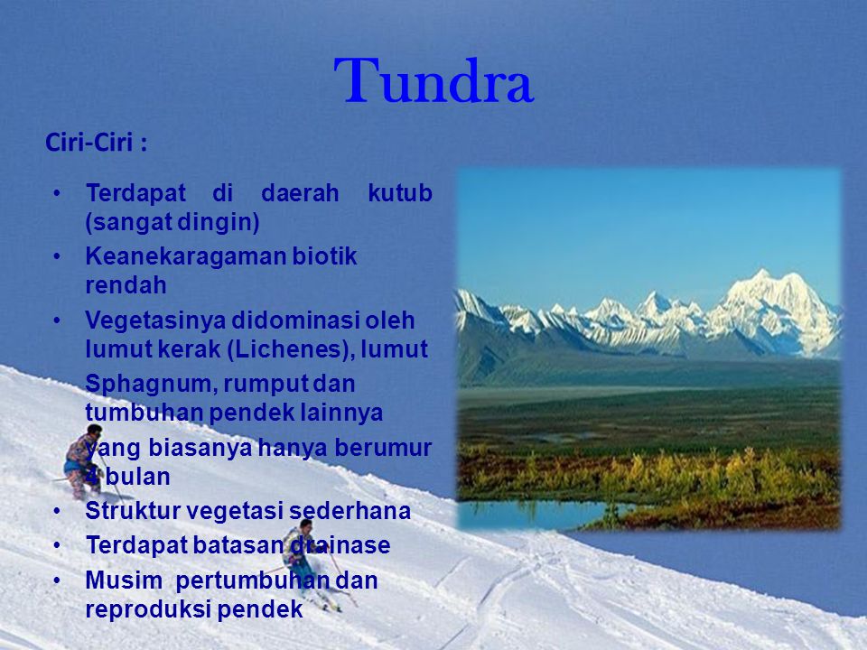 Tundra Ciri-Ciri : Terdapat di daerah kutub (sangat dingin)