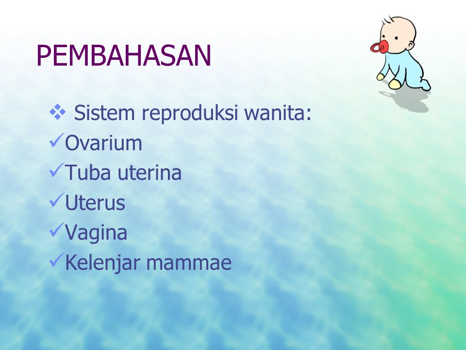 PEMBAHASAN Sistem reproduksi wanita: Ovarium Tuba uterina Uterus