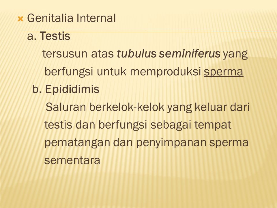 Genitalia Internal a. Testis. tersusun atas tubulus seminiferus yang. berfungsi untuk memproduksi sperma.