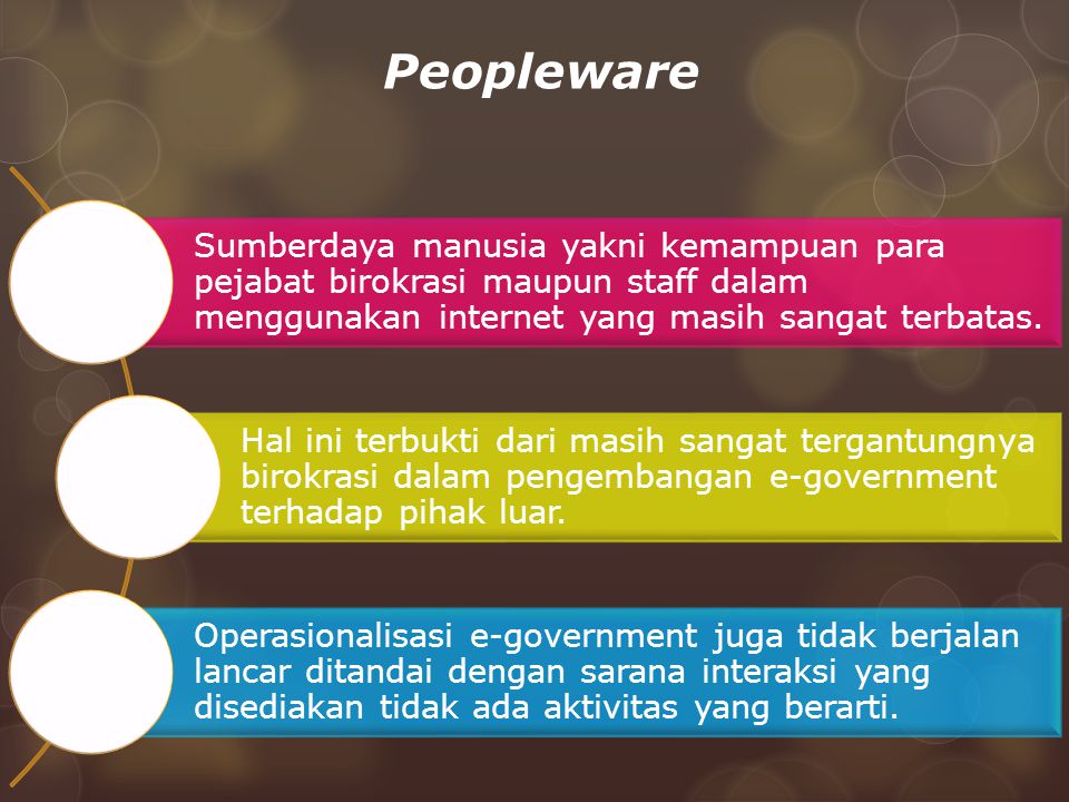 Peopleware Sumberdaya manusia yakni kemampuan para pejabat birokrasi maupun staff dalam menggunakan internet yang masih sangat terbatas.