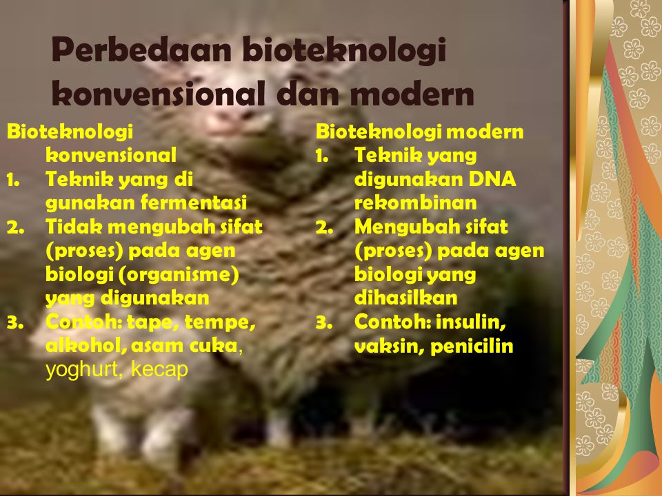 Perbedaan bioteknologi konvensional dan modern