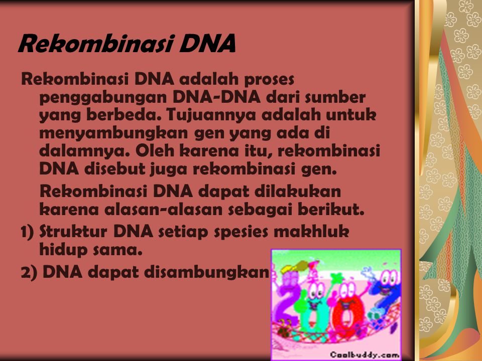 Rekombinasi DNA