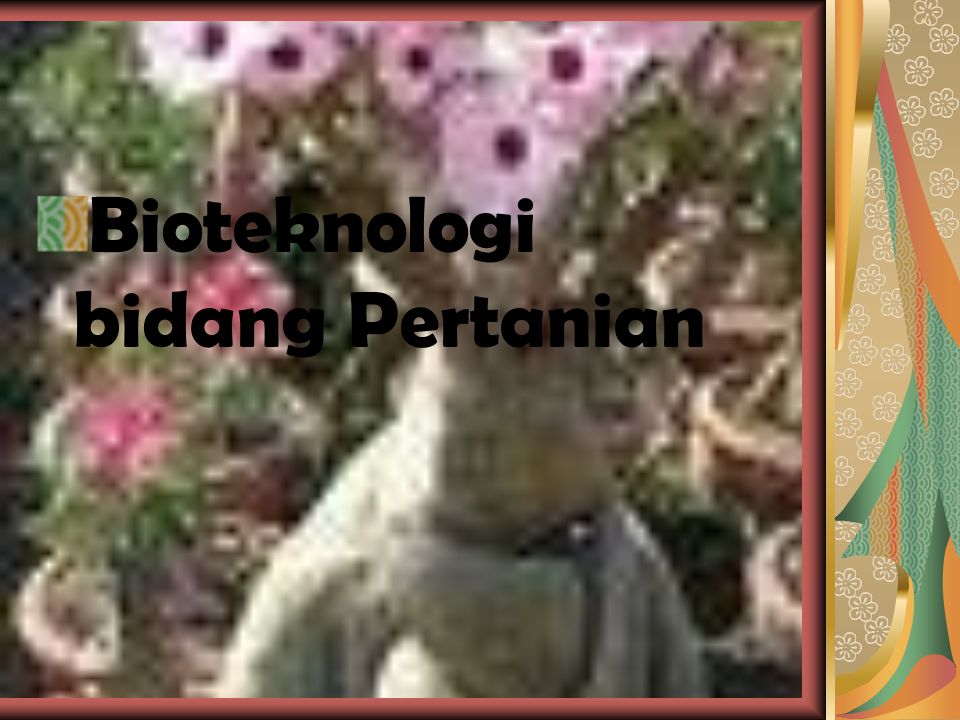 Bioteknologi bidang Pertanian