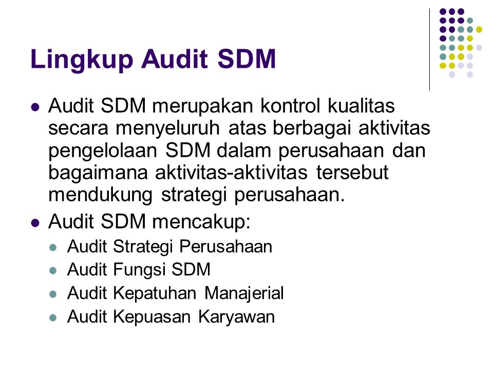 Lingkup Audit SDM