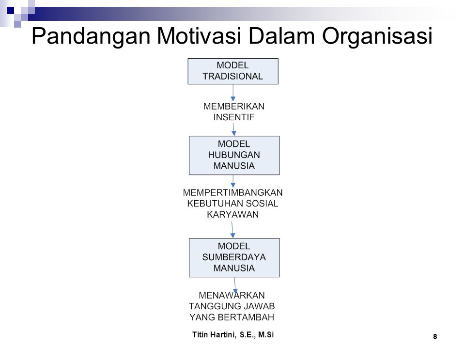 Pandangan Motivasi Dalam Organisasi