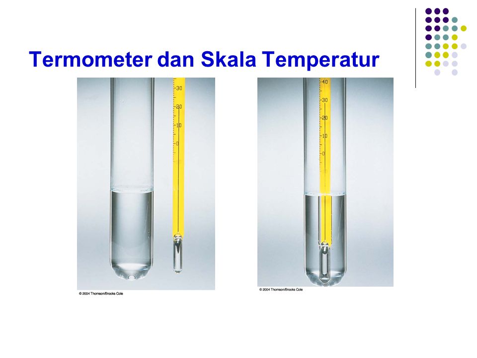 Termometer dan Skala Temperatur