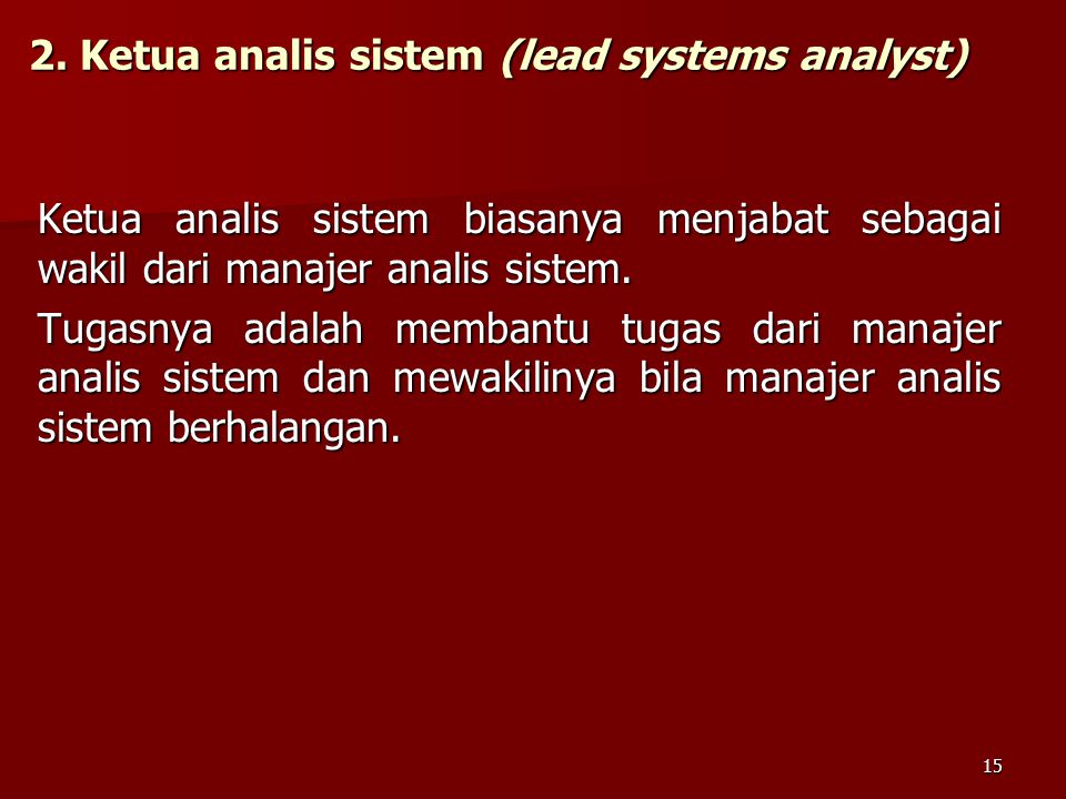 2. Ketua analis sistem (lead systems analyst)
