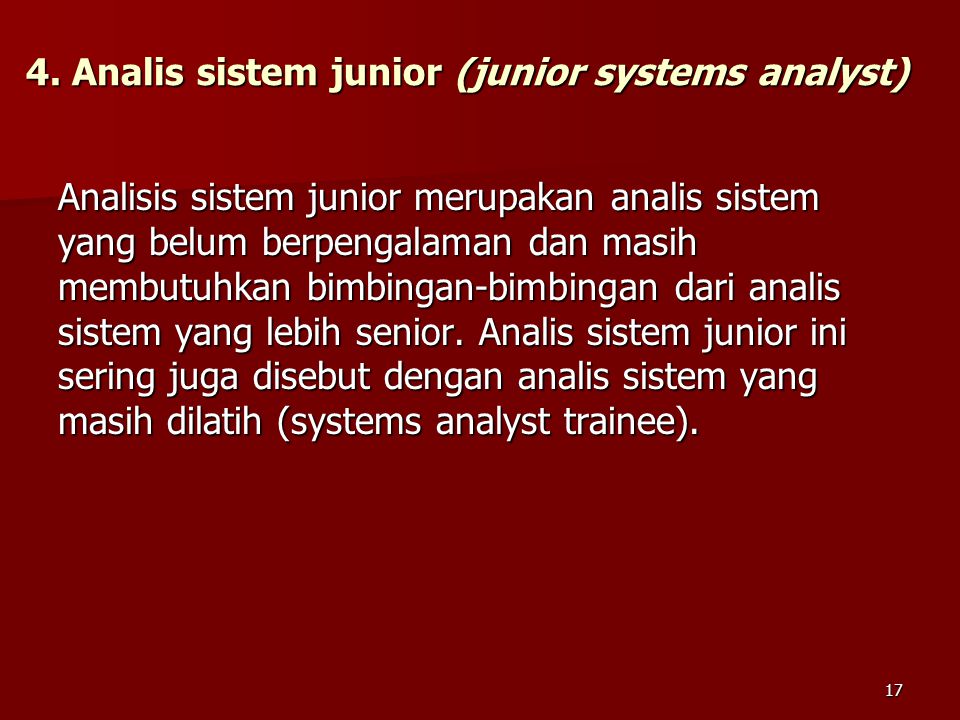 4. Analis sistem junior (junior systems analyst)