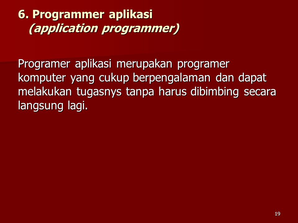 6. Programmer aplikasi (application programmer)