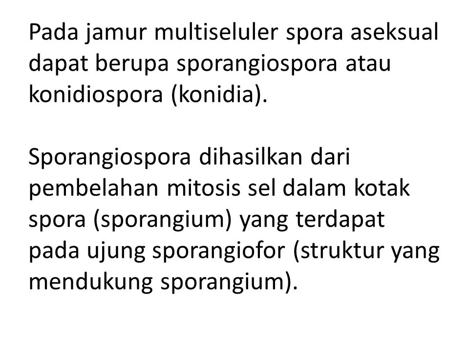 Pada jamur multiseluler spora aseksual dapat berupa sporangiospora atau konidiospora (konidia).