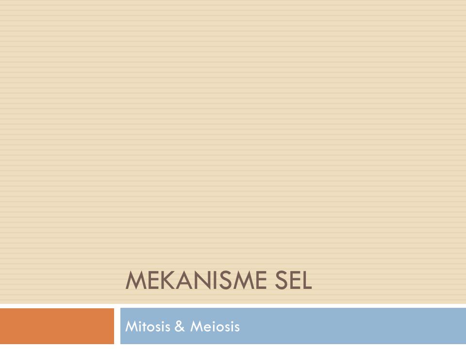 MEKANISME SEL Mitosis & Meiosis