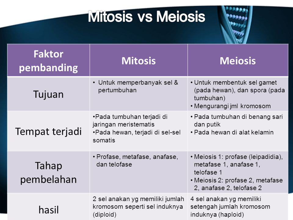 Mitosis vs Meiosis Faktor pembanding Mitosis Meiosis Tujuan