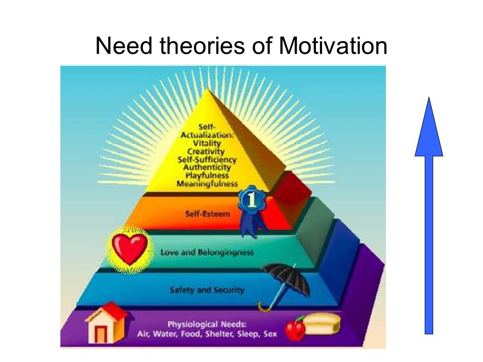 Need theories of Motivation