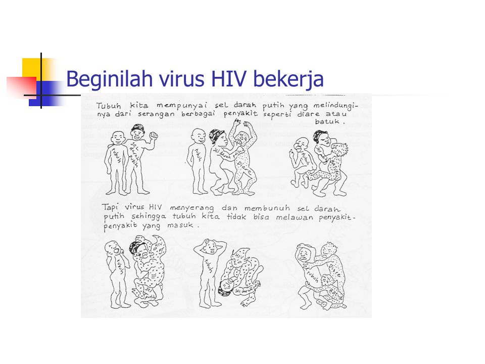 Beginilah virus HIV bekerja