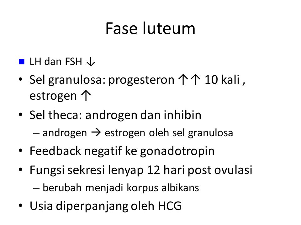 Fase luteum Sel granulosa: progesteron ↑↑ 10 kali , estrogen ↑