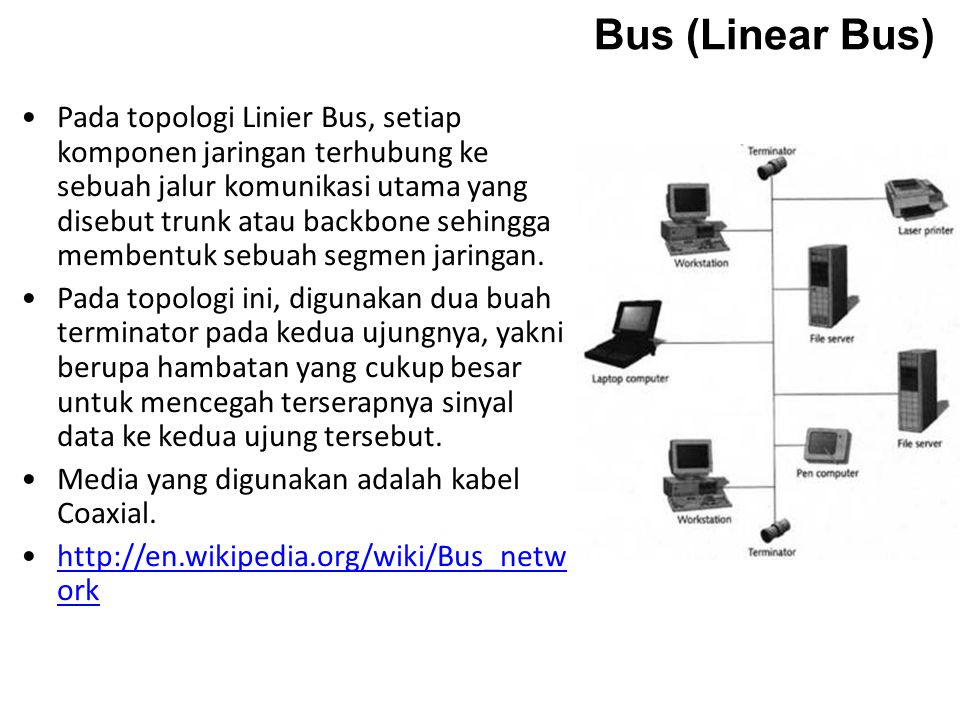 Bus (Linear Bus)