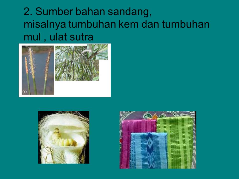 2. Sumber bahan sandang, misalnya tumbuhan kem dan tumbuhan mul , ulat sutra