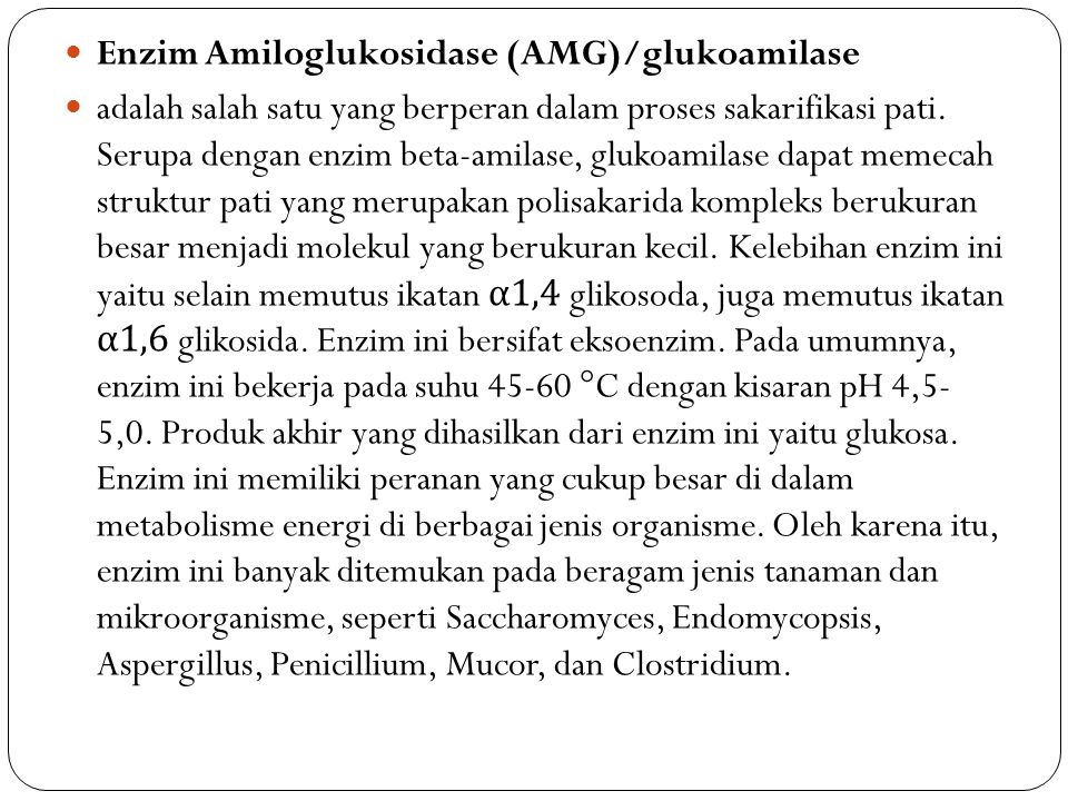 Enzim Amiloglukosidase (AMG)/glukoamilase
