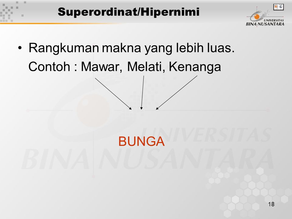 Superordinat/Hipernimi