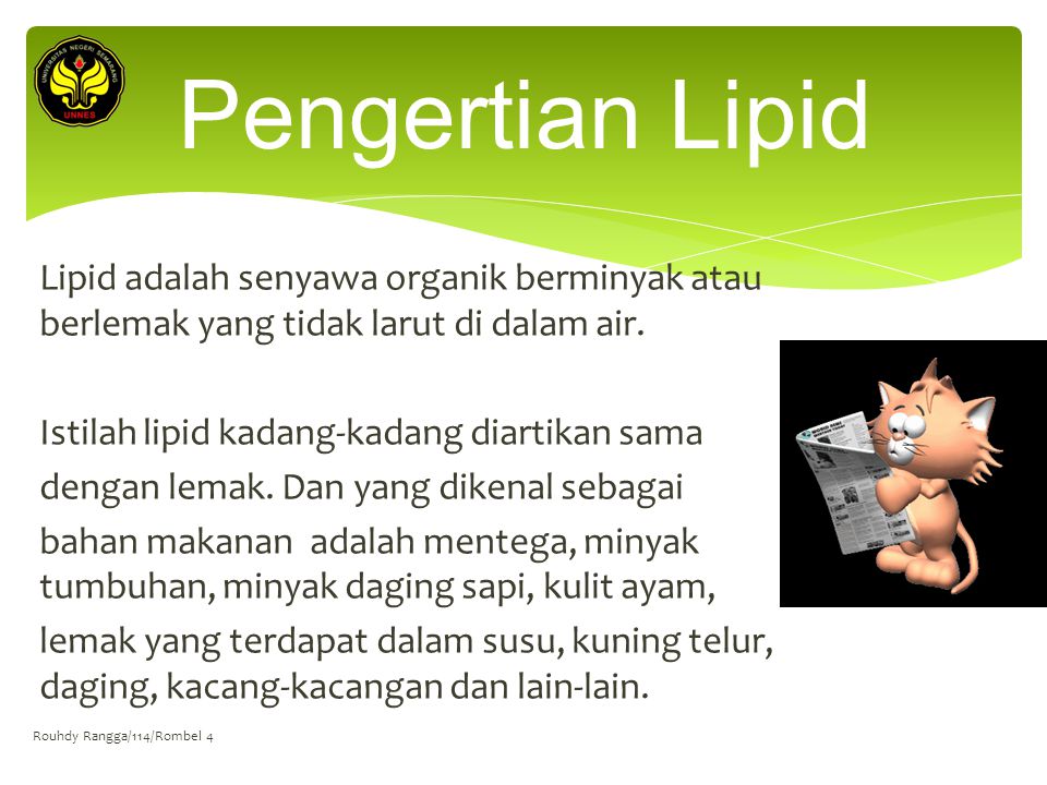Pengertian Lipid